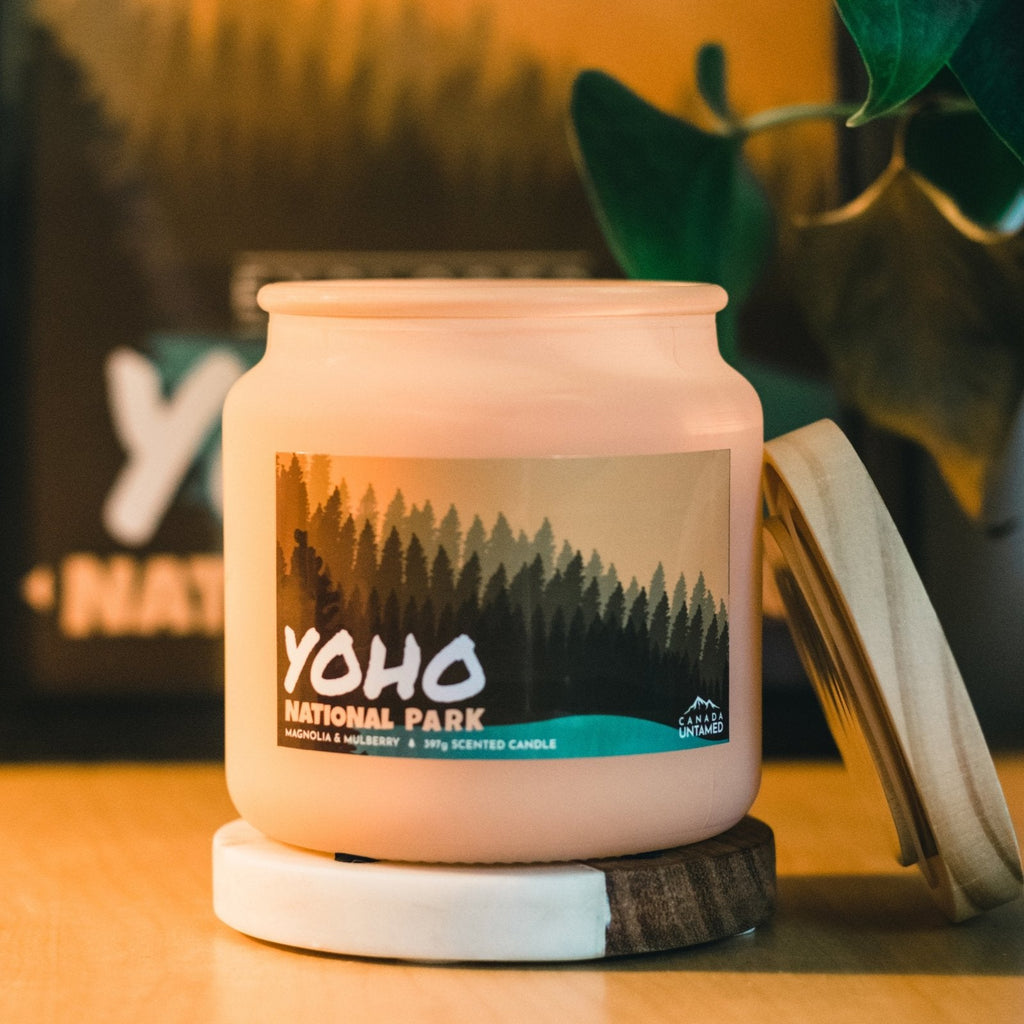 Bougie parfumée « MAGNOLIA ET MÛRIER » du parc national Yoho
