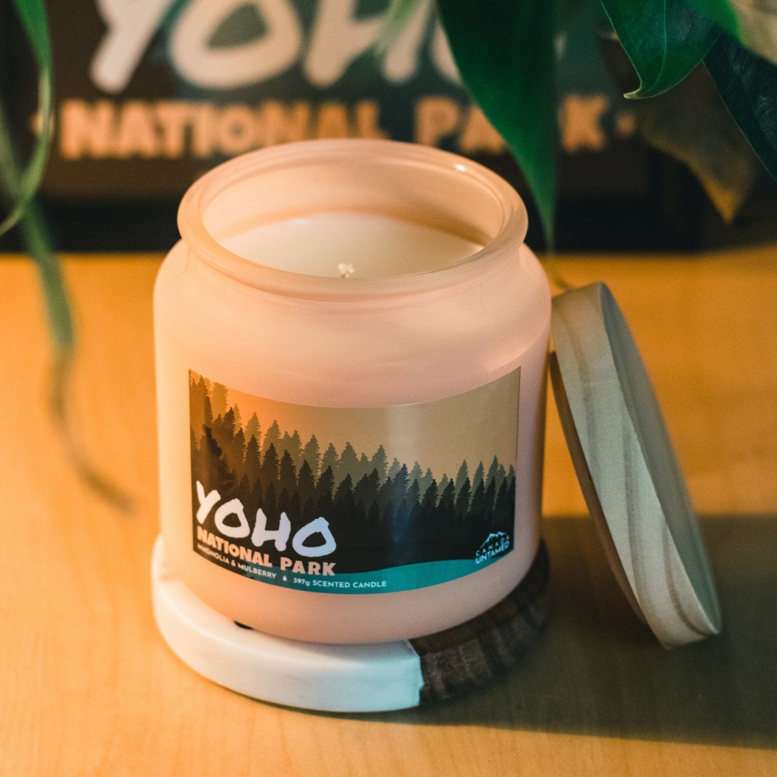 Bougie parfumée « MAGNOLIA ET MÛRIER » du parc national Yoho
