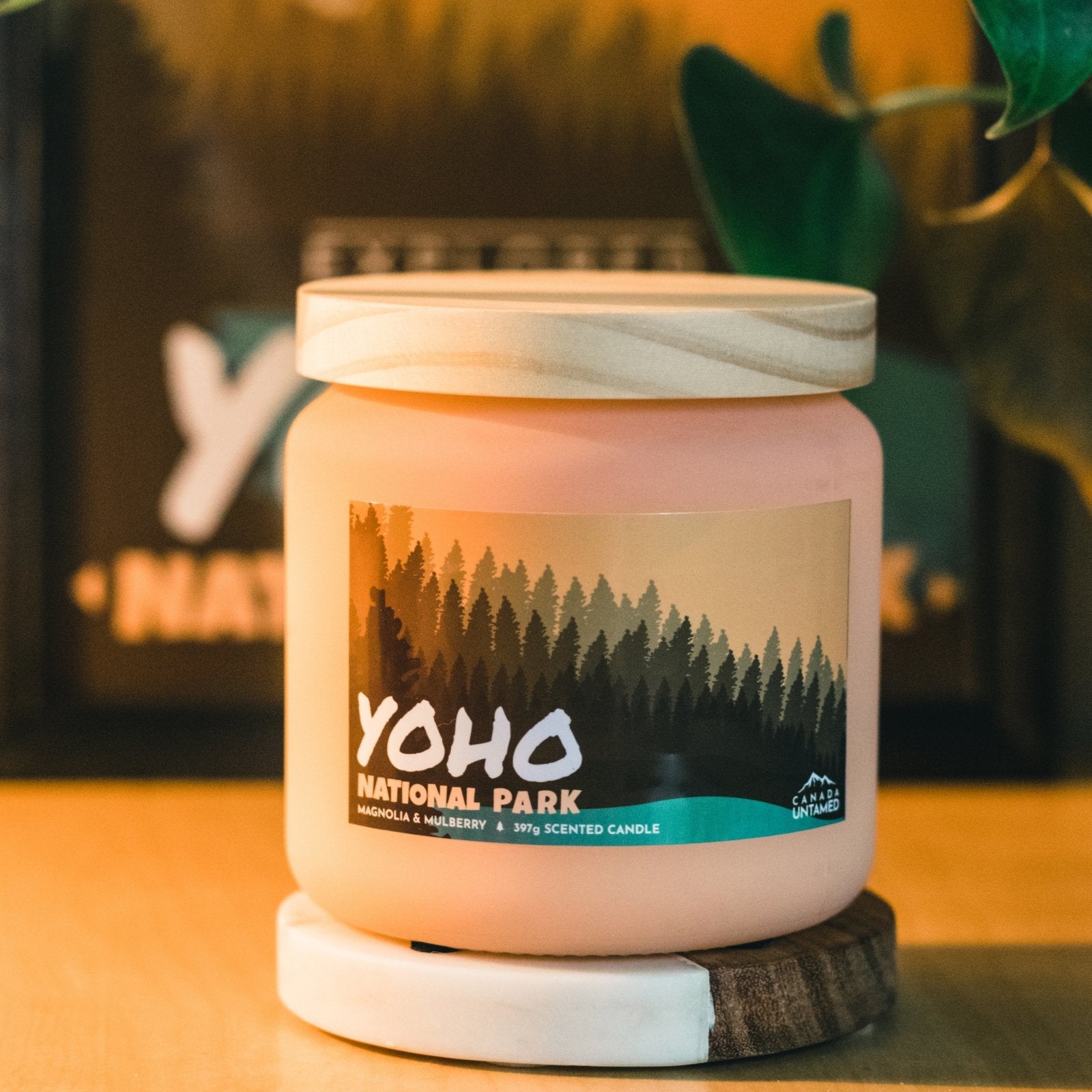 Bougie parfumée « MAGNOLIA ET MÛRIER » du parc national Yoho