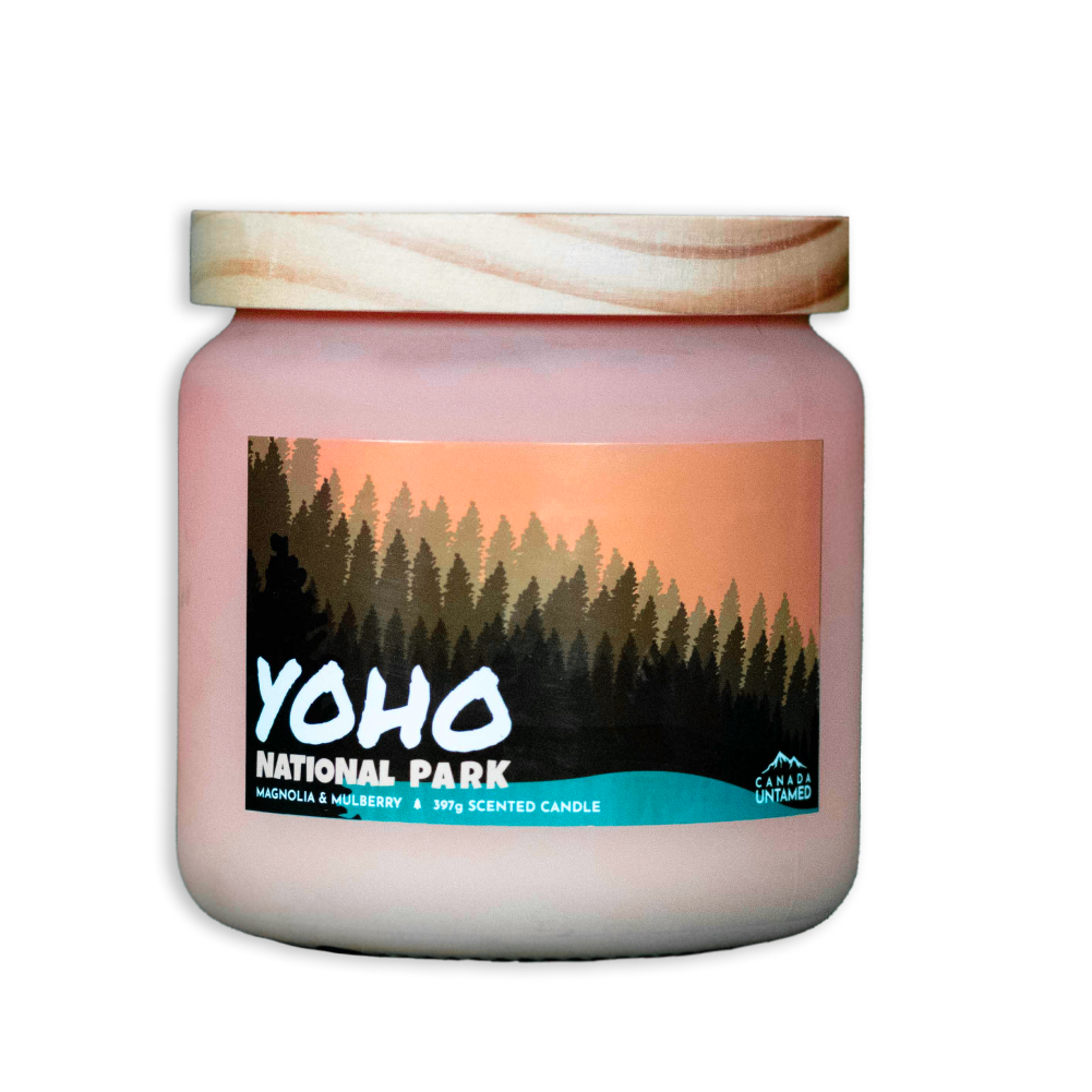 Bougie parfumée « MAGNOLIA ET MÛRIER » du parc national Yoho