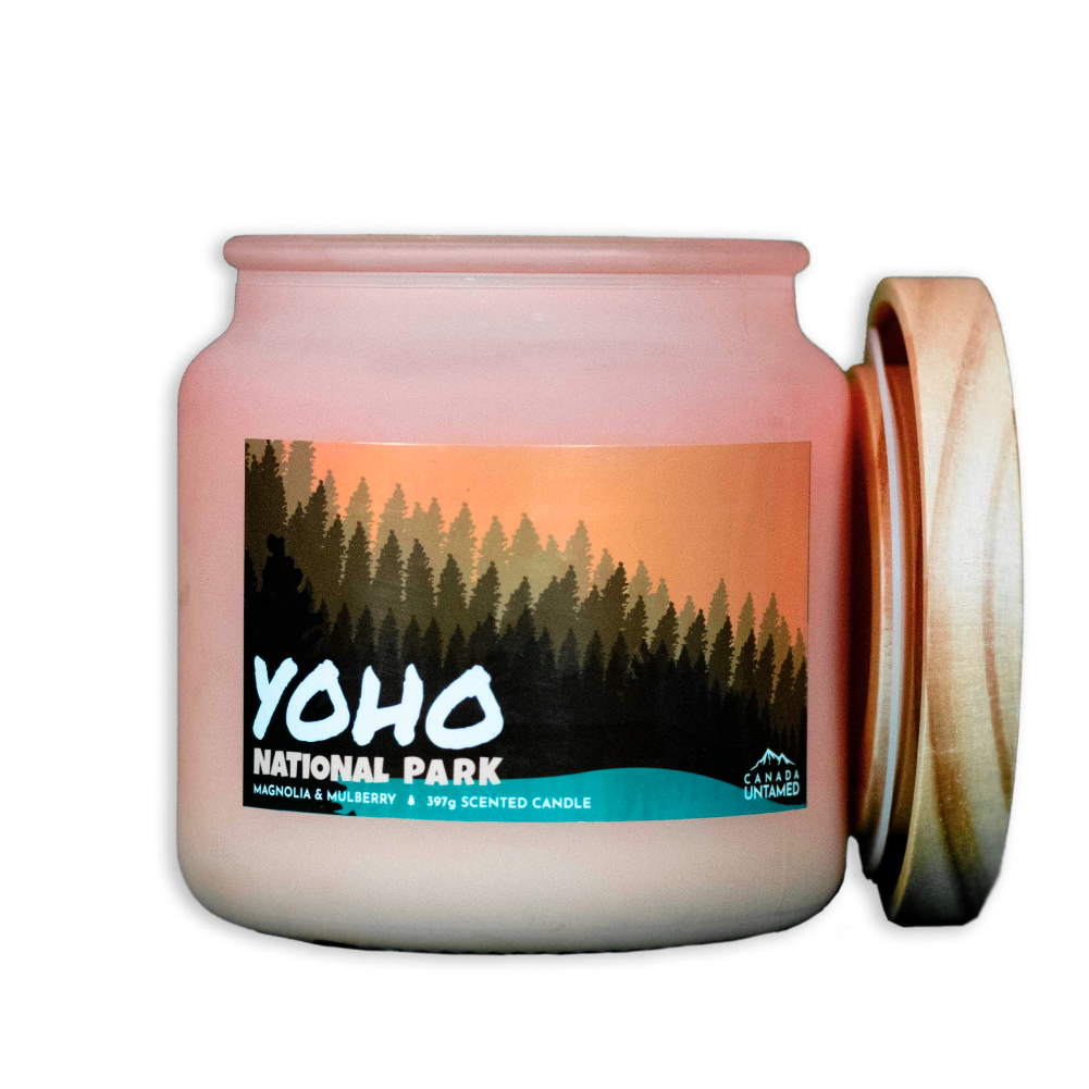 Bougie parfumée « MAGNOLIA ET MÛRIER » du parc national Yoho